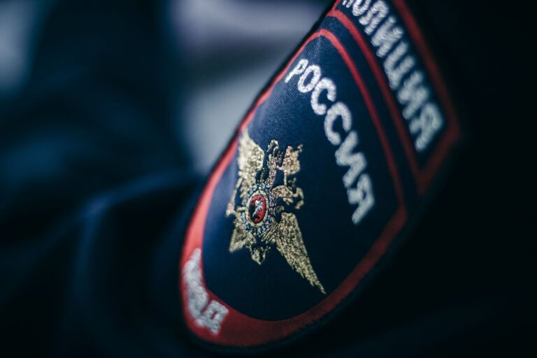 Мигрантов предложили выдворять из России за склонение к аборту