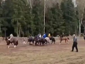 Жители Подмосковья возмущены: мигранты провели массовое состязание с тушами животных