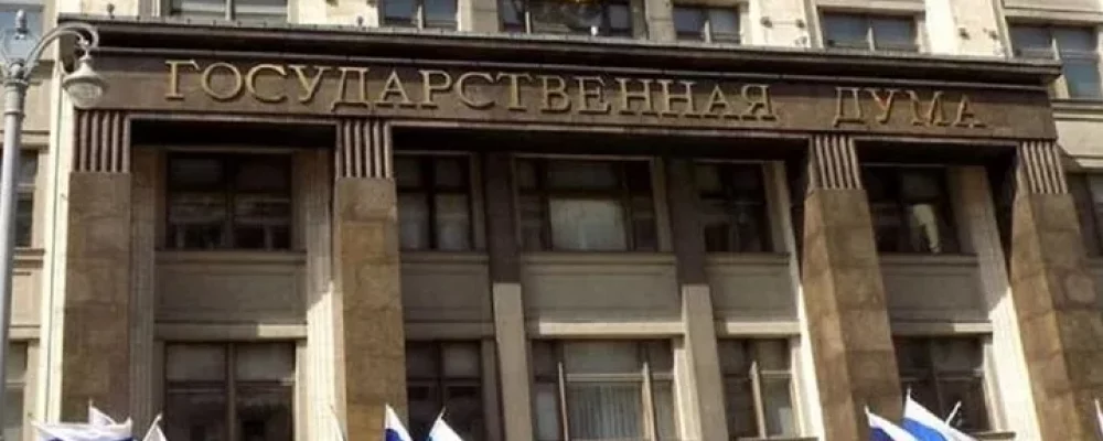 “Гражданство за 10 миллионов”: депутат предложила новый критерий для мигрантов в России